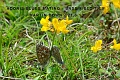 21 06 13_4065_edited-2